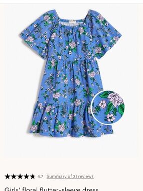Crewcuts flutter sleeve dress